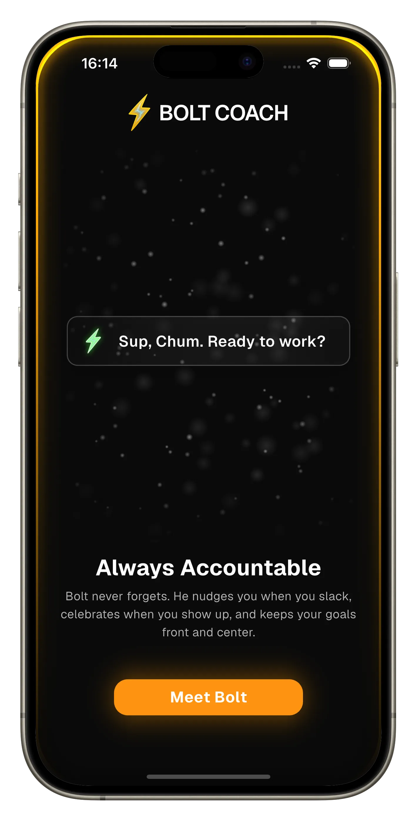 Accountability features and habit tracking statistics showing improved consistency rates.